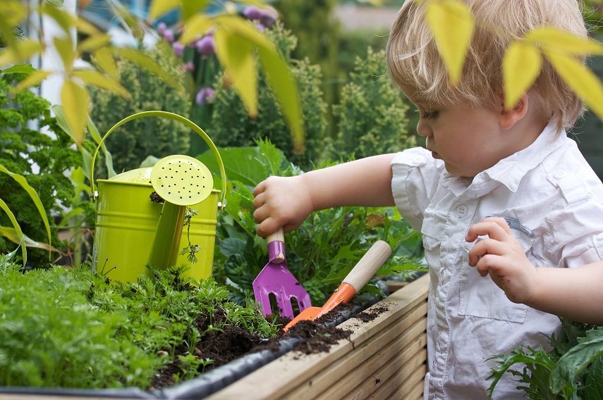 Boy in garden